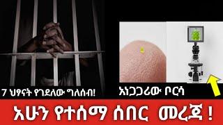 ሰበር ዜና ዛሬ / Ethiopian news today july 1 2023 ,abelbirhanu/addis 97/yehulu Bet/ዋርካ ሚዲያ/daily news