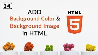 Add Background Color and Background Image in HTML