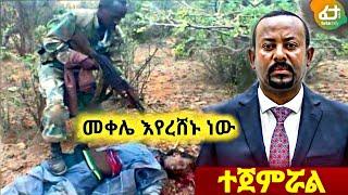 መቀሌ እየረሸኑ ነው።Ethiopian daily news eregnaye zehabesha Ethiopian movies kana tv hahu media!dw ethiopia