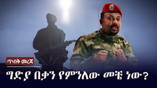 Ethiopia: ጥብቅ መረጃ - ግድያ በቃን የምንለው መቼ ነው? | Fano | Amhara | Tigray | TPLF | OLF | Oromo