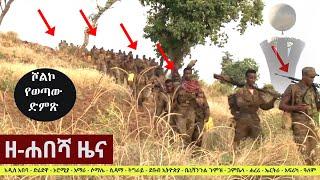 Ethiopia: ዘ-ሐበሻ የዕለቱ ዜና | Zehabesha Daily News August 19, 2021