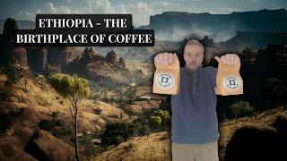 The Ethiopian Coffee industry: the Birthplace of Coffee