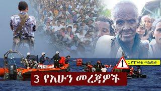 Ethiopia: 3 የአሁን መረጃዎች | Zehabesha 4