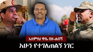 Alemneh Wase BeZehabesha - (አለምነህ ዋሴ በዘ-ሐበሻ) -  አሁን የተገለጠልኝ ነገር