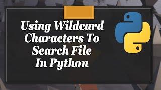 Using Wildcard Characters To Search File In Python