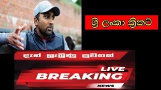 Mahela Jayawardene  Latest Cricket News Today Sri Lanka | Special Sri Lanka Cricket News Video