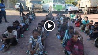 ሰበር የድል ዜና Ethiopian News Ethiopia Today December 5, 2021 Zehabesh