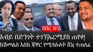 Ethiopia: ሰበር ዜና - የኢትዮታይምስ የዕለቱ ዜና |አብይ በድንገት ተገኘ|ኤርሚያስ ጠየቀ|ከሽመልስ እስከ ጃዋር የሚሳሱለት ሸኔ|ተጠለፈ