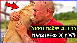 ከረጅም ጊዜ በኃላ እንስሳት ከአሳዳጊያቸው ጋር ሲገናኙ | Seifu ON EBS | Abel Birhanu | Ewqate Media