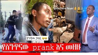 tik tok የማያሳየን የለም//yebeteseb chewata//seifu on ebs//fitse yema lij