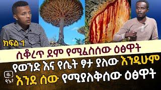 የወንድ እና የሴት ፆታ ያለው እንዲሁም እንደሰው የሚያለቅሰው ዕፅዋት |ሲቆረጥ ደም የሚፈሰው ዕፅዋት