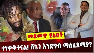 Ethiopia: ተነቃቅተናል! ሸኔን እንደግብ ማስፈጸሚያ❓ OLF | Shimelis Abdisa | Dawud Ibsa | Jal Maro | Girma Gelan