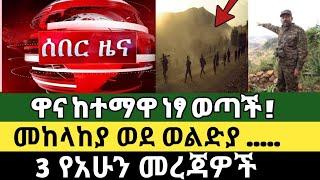 Ethiopia ሰበር | ጀግናው ሰራዊታችን ላሊበላን ተቆጣጠረ | ከወልዲያ አስደሳች መረጃ..| ታዋቂው ጋዜጠኛ ጁንታው ሰው | Zehabesha|ZenaTube