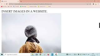 INSERT IMAGE IN WEBSITE || HTML || First HTML page || Class 11 & 12 || Learn HTML from basic