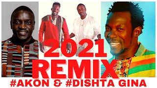 Dishta Gina-ዲሽታ ጊና- Remix with Akon | Remix Dishita Gina | Tariku seifu on ebs | ashurka | tedy  |