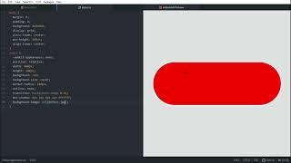 How to make Pizza toggle button using HTML and CSS