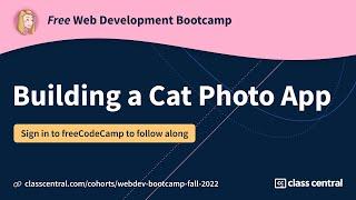 Learn HTML by Building a Cat Photo App