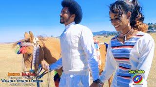 Birhaanee Baayisaa - Jireenya jaalalaa - Ethiopian new music - 2021 video