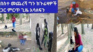 ሀዋሳ አሞራ ገደል ውስጥ በስተ መጨረሻም ከጉሬዛዎች ጋር ጥሩ ጊዜ አሳለፍን????????????