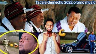 Tadele Gemechu music reaction 2022 sirba Hacalu fi gotoota oromo farsu fi diina salfachise???? Abush