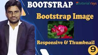 9. Image classes in Bootstrap | Responsive Image in Bootstrap | Bootstrap 5 Tutorial