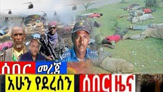 ሰበር ዜና |Ethiopian News | Ethiopia News Ethio forum ኢትዮ ፎረም | zehabesha original