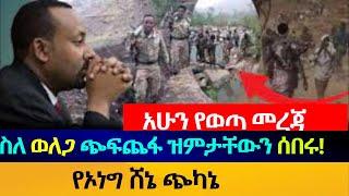 ሰበር መረጃ -አስጠነቀቁ - ስለጭፍጨፋው በምሬት ተናገሩ -ተቃዋሚ ፓርቲዎች በአንድ ድምጽ ታሪካዊ መግለጫ አወጡ Opposition Parties statement