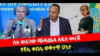 ???? ????ስለ ወለጋው ጭፍጨፋ አዲስ መረጃ | የቶሌ ቀበሌ ወቅታዊ ሁኔታ