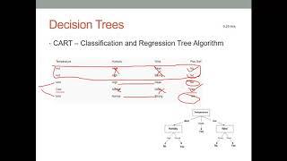 ML Training - Batch 25 - Decision Trees