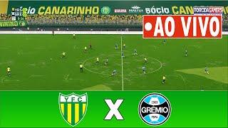 Ypiranga x Grêmio AO VIVO COM IMAGENS ⚽ Semifinal Gauchão 2023 ⚽ Jogo de Hoje AO VIVO