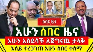 ሰበር - አሁን ከመሸ አስደሳች ተበሰረ የጀግናዉ ምኞት ተሳካ መንግስት ምላሽ ሰጠ | በርካታ የአሸባሪዉ አባላት በቁጥጥር ስር ዋለ | Abel Birhanu