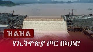 Ethiopia: ዝልዝል - Zilzil  |  የኢትዮጵያ ጦር በካይሮ