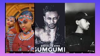 TIK TOK OROMO FUNNY VIDEO COMPILATION ||| TIK TOK ETHIOPIA #andualem_gumgume #andualemgosa #music