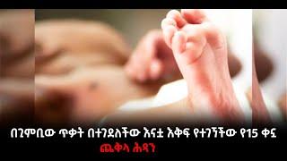 ???? ????በጊምቢው ጥቃት በተገደለችው እናቷ እቅፍ የተገኘችው የ15 ቀኗ ጨቅላ ሕጻን