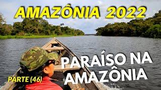 DE VOLTA À COMUNIDADE DA MANGUEIRA (PARTE 46) PARAISO NA AMAZONIA