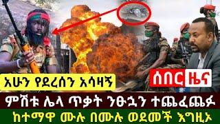 Ethiopia:ሰበር | አሳዛኝ ዜና ተሰማ ምሽቱን ሌላ ጥቃት ተፈፀመ በርካታ ንፁኋን ተጨፈጨፉ እግዚኦ ከተማዋ ሙሉ በሙሉ ወደመች | Abel Birhanu