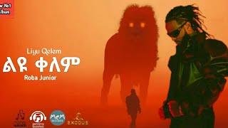 Roba Junior - ልዩ ቀለም | Liyu Qelem - Official Audio