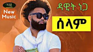 ያልተለቀቀው የዳዊት ነጋ - ሰላም - የተሰኘ ዘፈን | Dawit Nega New Ethiopian Tigrinya Music 2022