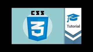 CSS Tutorial For Beginners Box Model  Margin