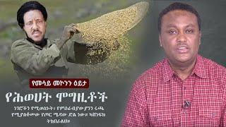 Ethiopia: የሕወሓት ሞግዚቶች | Mesay Mekonnen on TPLF