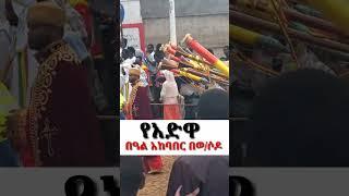 የአድዋ በዓል አከባበር በወላይታ ሶዶ #Adwa #AdwaMusic #Shorts