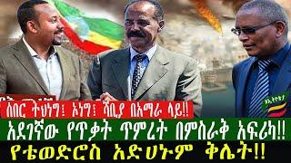 ZeEthiopia |????ሰበር ትህነግ፤ ኦነግ፤ ሻቢያ በአማራ ላይ|አደገኛው የጥቃት ጥምረት በምስራቅ አፍሪካ|የቴወድሮስ አድሀኑም ቅሌት#Fetadaily#fan