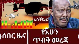 Ethiopia: ዘ-ሐበሻ የአሁን መረጃዎች| zehabesha today news | zehabesha news | zena tube