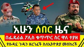 ሰበር መረጃ - ባለስልጣኑ በፌዴራል ፖሊስ ቁጥጥር ስር ዋለ ተያዘ | የሱዳኗ ጉዱን ዘረገፈችዉ አፈረጠች ስለ ኢትዮጵያ በአለም መሰከረች | Abel Birhanu