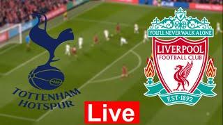 Liverpool vs Tottenham live match highlights premier league football match