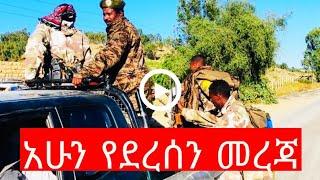 ሰበር ዜና ethiopian news August 2, 2021| zehabesha Amhara Tigray Habesha BREAKiNG news Ethio news ዜና ዛሬ