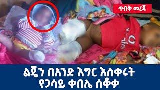 Ethiopia : ልዩ መረጃ | ልጄን በአንድ እግር እስቀሩት | የጋሳይ ቀበሌ ሰቆቃ