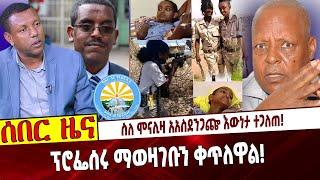 Ethiopia: ስለ ሞናሊዛ አስደንጋጬ እውነታ ተጋለጠ❗️  ፕሮፌሰሩ ማወዛገቡን ቀጥለዋል❗️ Monaliza|Merara Gudina|Ethiopia