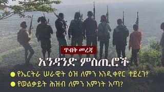 Ethiopia: ጥብቅ መረጃ - አንዳንድ ምስጢሮች | የወልቃይት ሕዝብ ለምን እምነት አጣ? | የኤርትራ ሠራዊት ዕዝ ለምን እንዲቀየር ተደረገ?