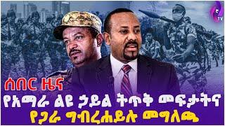 የአማራ ልዩ ኃይል ትጥቅ መፍታትና የጋራ ግብረሀይሉ መግለጫ!! |  Amhara Special Force |  NDFE | DR.Abiy | Ethiopia